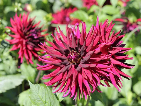 Android 下载二维码